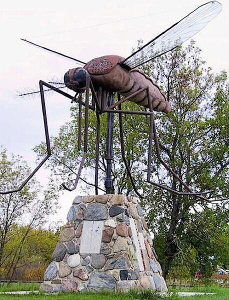 Канадский комар — самый большой в мире