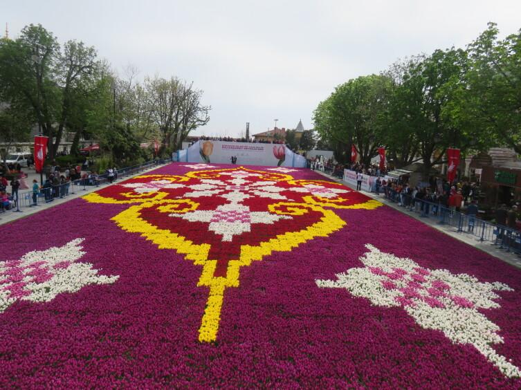 Традиционный ковер из тюльпанов на площади Султанахмет. Здесь использовано 565 тысяч тюльпанов, площадь - 1734 кв.м 