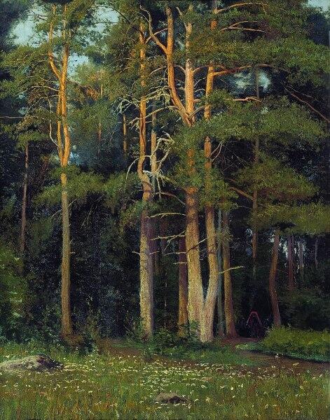 И. И. Шишкин, «Сосновый бор у Лигова»,  1895 год