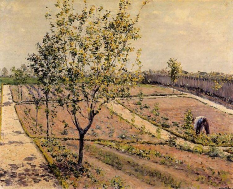 Гюстав Кайботт, «Огород в Петит Женвильер», 1882 г.