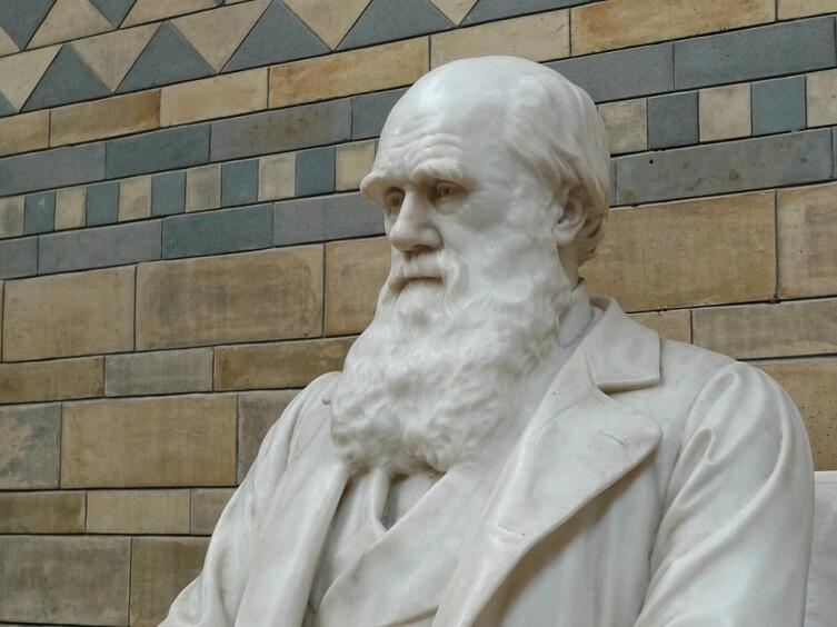 Памятник Ч. Дарвину в Музее естествознания в Лондоне, Великобритания