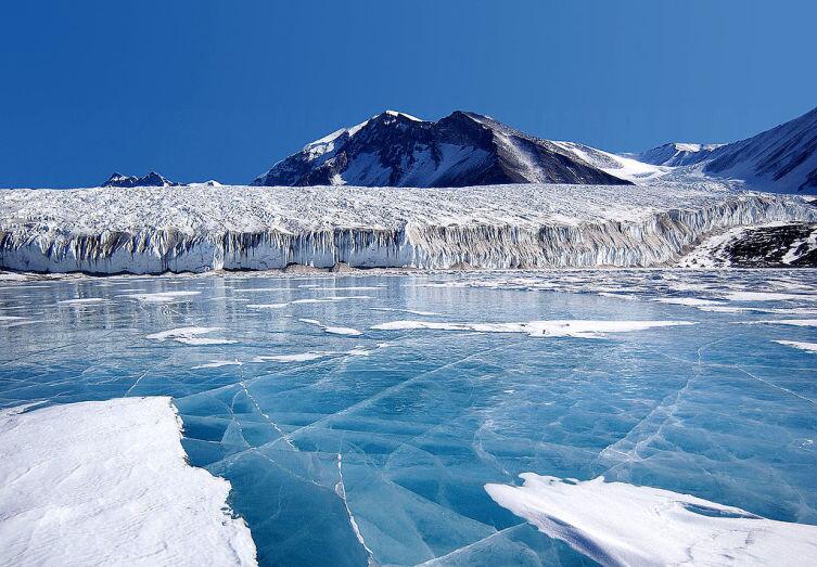 Голубой лёд, покрывающий озеро Фрикселл в Трансантарктических горах