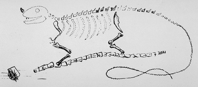 Реконструкция игуанодона Г. Мантелла — первая в истории реконструкция динозавра