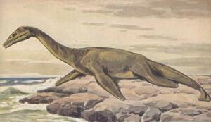 Загадки динозавров. Часть 3: как динозавры плавали?
