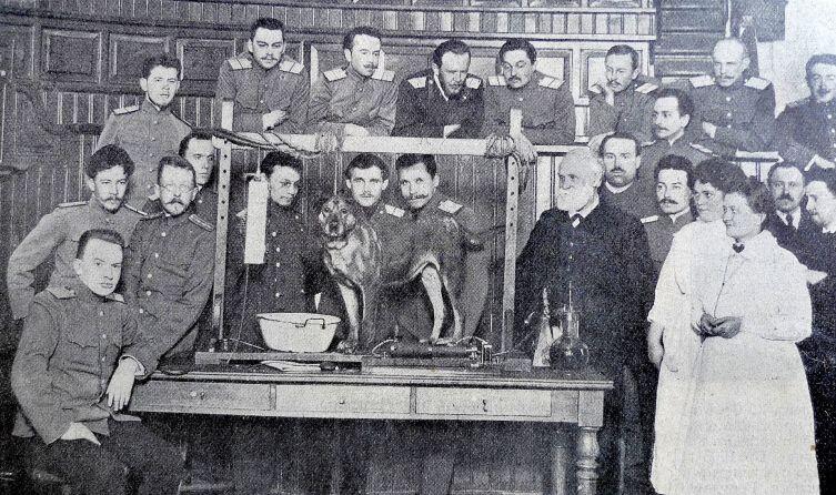 И. П. Павлов в Императорской Военно-медицинской академии, 1913 г.