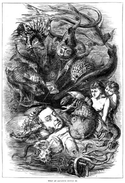 «Каким должен быть аквариум» — Английская гравюра 1876 г.