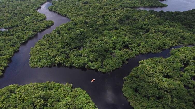 Во время засухи рукава Амазонки оказываются отрезанными от русла
