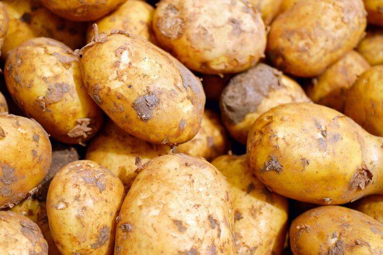 400 граммов картофеля содержат дневную норму витамина С
