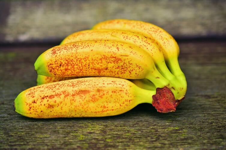 Вымрут ли бананы?