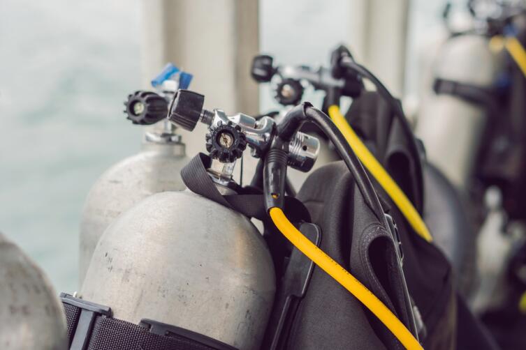 Обучение дайвингу: какое снаряжение нужно для подводного плавания?