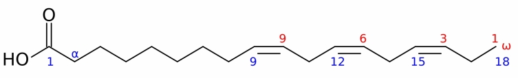 Пример химической структуры ω−3-полиненасыщенной жирной кислоты (изображена альфа-линоленовая кислота)