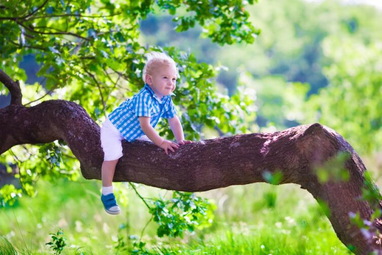 Ребенок считает, что лес нужен для того, чтобы он в нем гулял