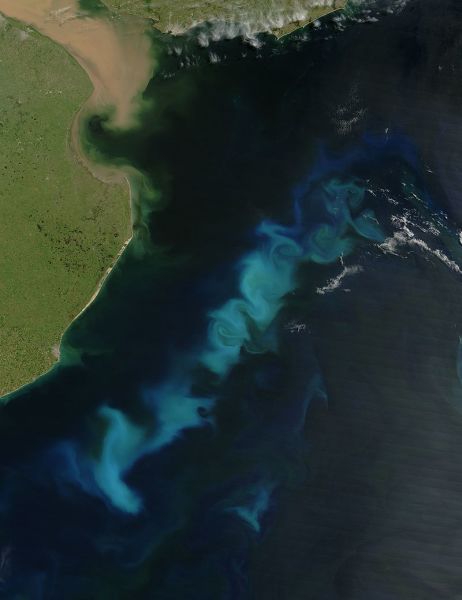 Снимок из космоса, «цветение воды» у побережья Аргентины