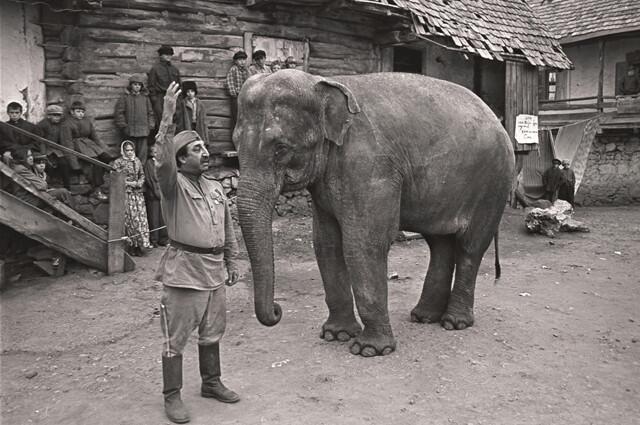 Кадр из к/ф «Солдат и слон», 1977 г.