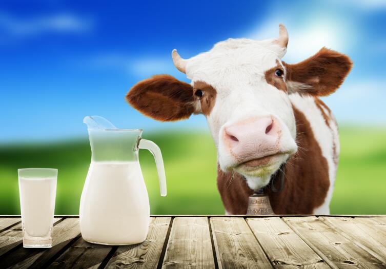 Отдавайте предпочтение натуральному молоку