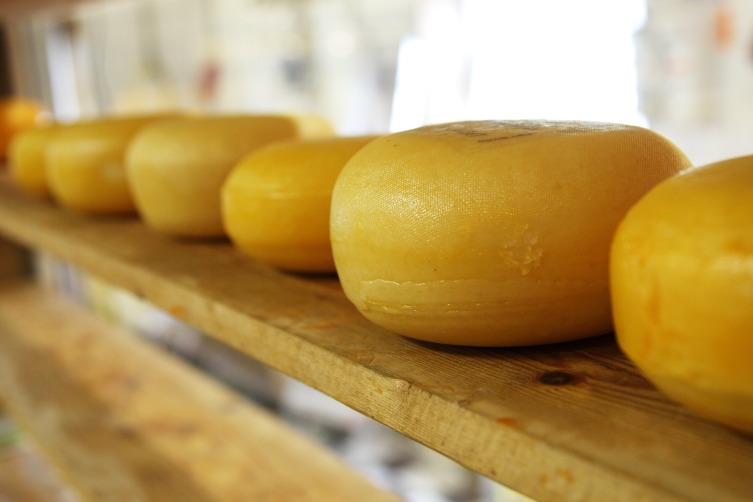 Что мы знаем о сыре? Сыр в истории, искусстве, философии и на столе