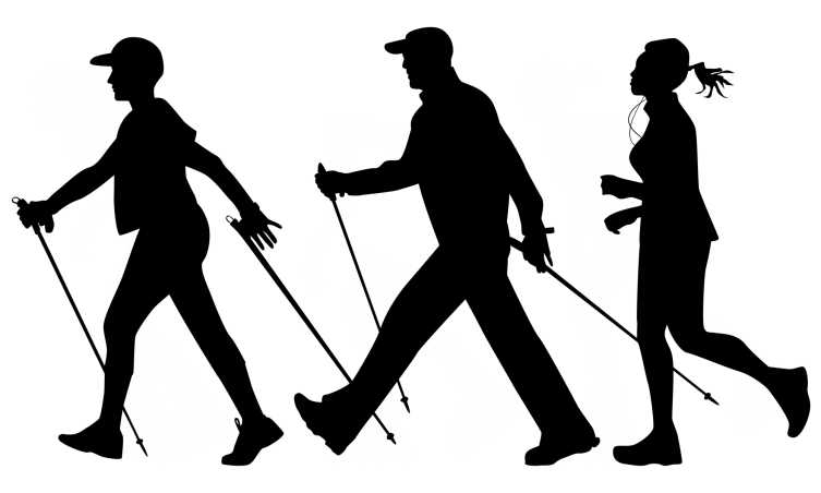 Регулярная ходьба с палками поддерживает тонус всего организма на хорошем физическом уровне