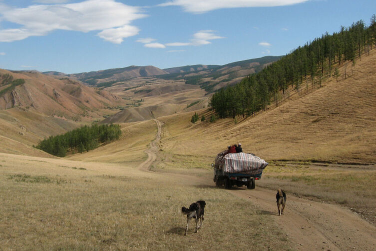 Монгольские кочевники в переходе на северное стойбище