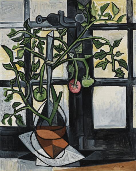 Пабло Пикассо, «Куст помидоров», 09.08.1944 г.