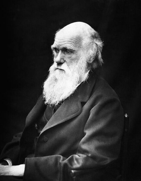 Что такое премия Дарвина?