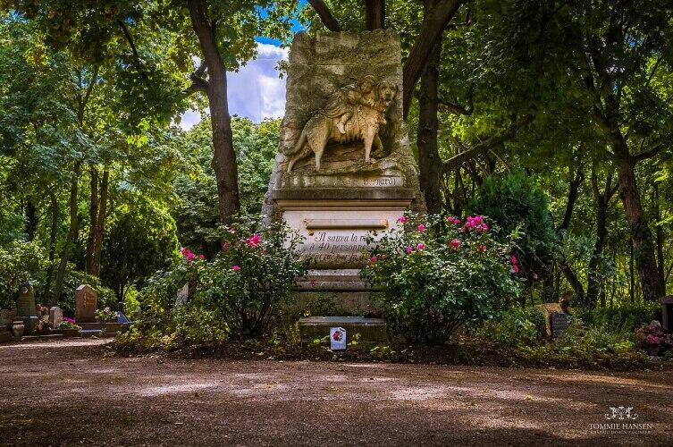 Памятник Барри на кладбище собак во Фpaнции