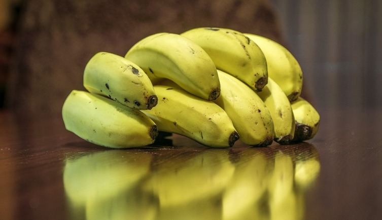 Как вырастить в квартире банан и надо ли содержать в неволе бананового паука?