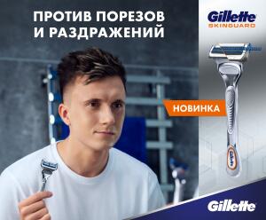 Gillette 
  SkinGuard,  
60%    