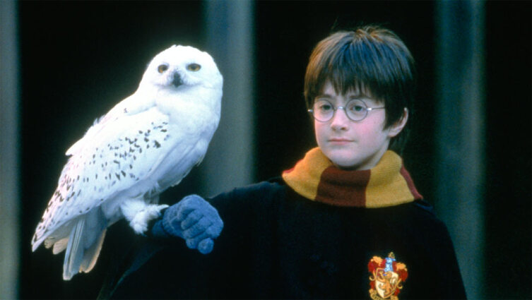 Гарри с совой Буклей. Кадр из кинофраншизы «Гарри Поттер»