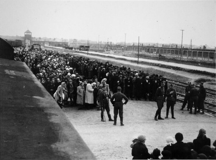 Прибытие заключенных в концлагерь Освенцим. Первый этап отбора