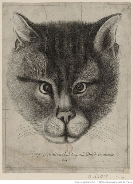 Подлинный портрет кота великого князя Московии