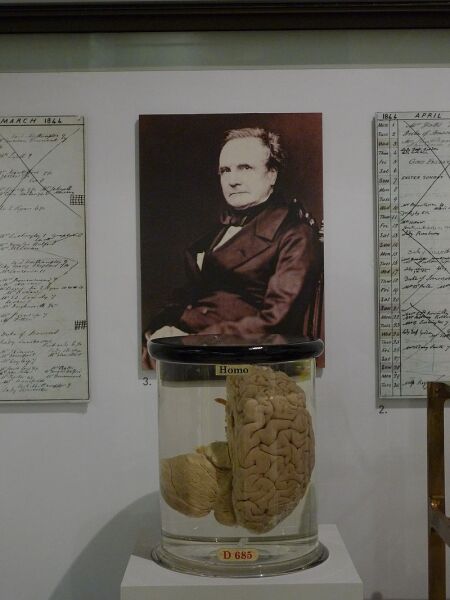 Мозг Чарльза Бэббиджа в музее науки в Лондоне