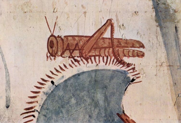 Изображение саранчи в гробнице фараона Хоремхеба, XV век до н.э.