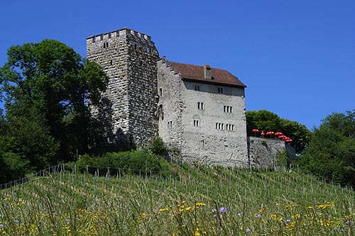 Замок Габсбург. Современный вид