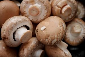 Как приготовить вкусные закуски из грибов? Грибочки по-венесуэльски и Пьяные вешенки