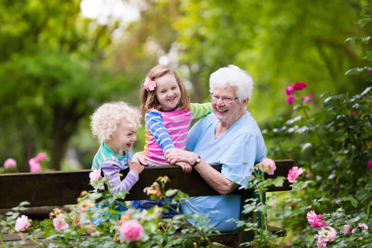 Как бабушке организовать полезную прогулку с внуками?