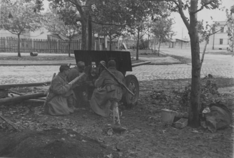 Советские артиллеристы у 57-мм пушки ЗиС-2 на улице Белграда