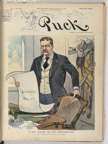 Карикатура, посвящённая вступлению Рузвельта в должность президента