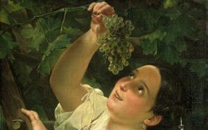 Как вырастить виноград из саженца?