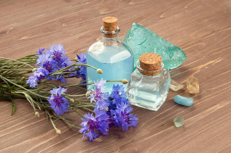Как используют косметическое масло соцветий василька?