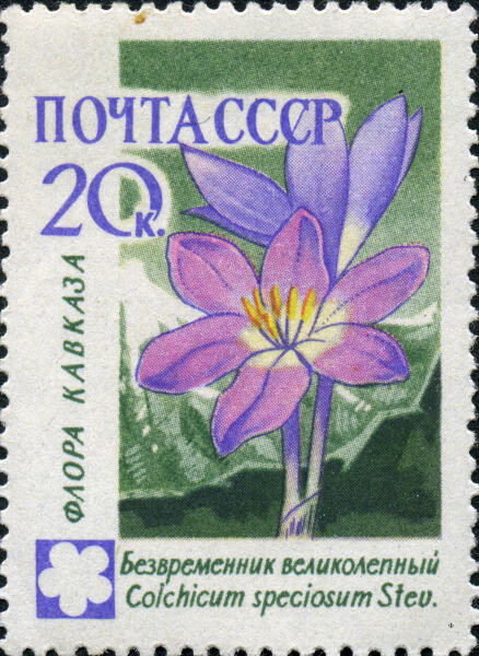 Марка СССР, выпущенной в серии «Флора Кавказа»