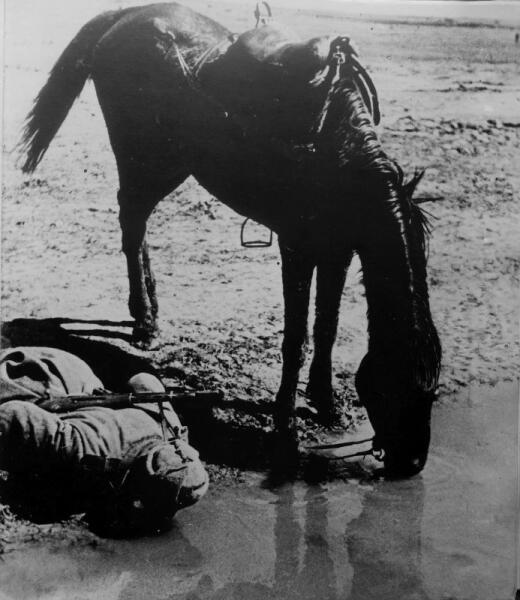 Боец Красной Армии (вероятно, старший сержант) и его лошадь утоляют жажду из водоема
