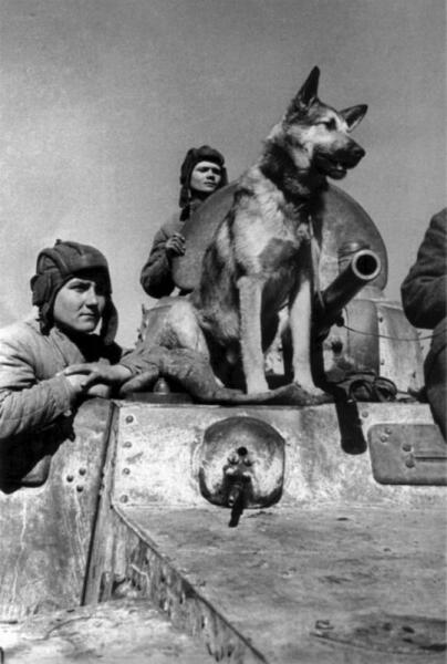 Экипаж бронеавтомобиля БА-10 с овчаркой Джульбарс