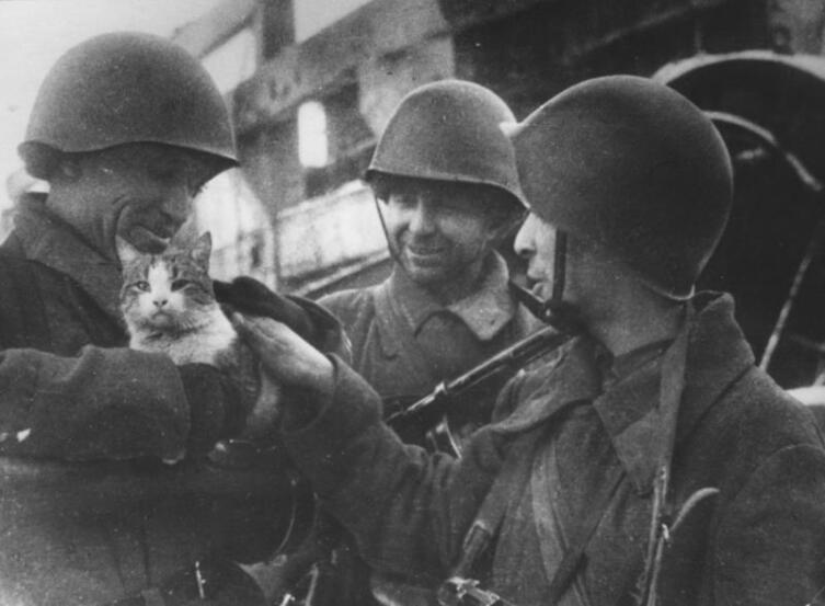 Советские бойцы с кошкой на руках в Сталинграде
