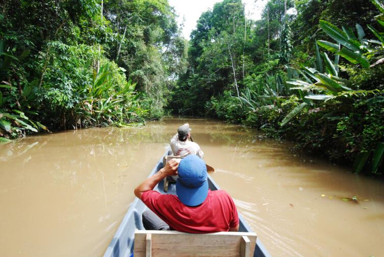 Амазонка в Эквадоре