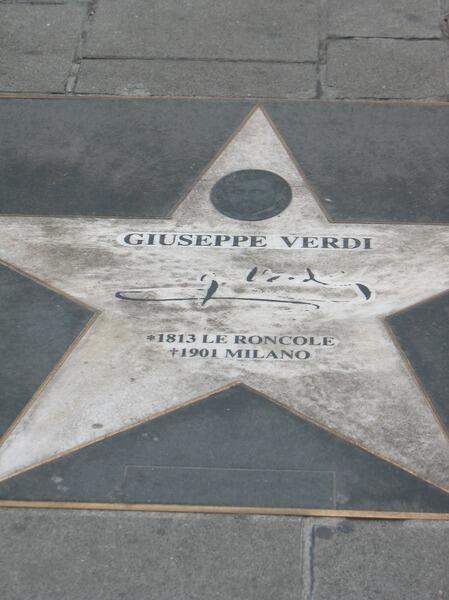 Звезда Верди в Вене