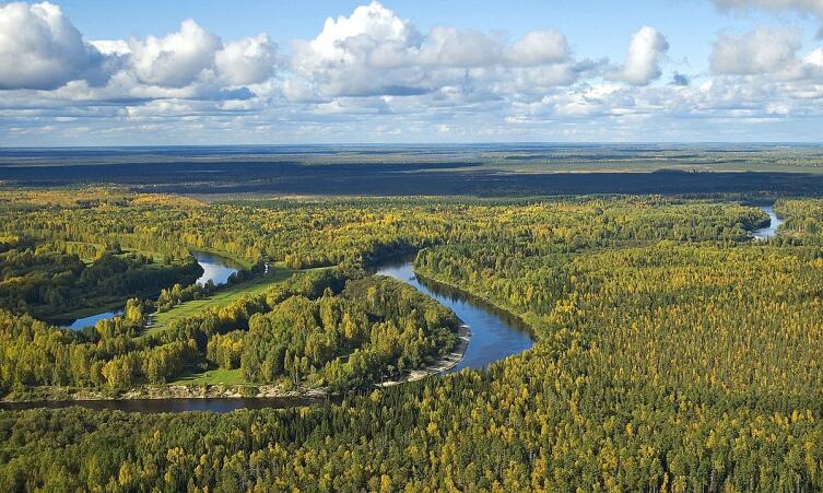 Река Васюган в Томской области, вид с вертолёта. До самого горизонта — Васюганские болота