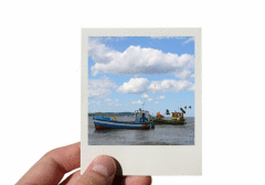 Кто изобрёл Polaroid?