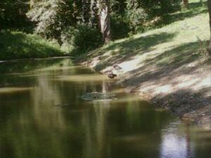 Вода внутрь. Вода снаружи. Вот и спасение