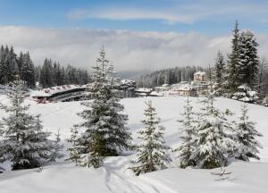 Горные лыжи в Болгарии. Какому курорту отдать предпочтение?