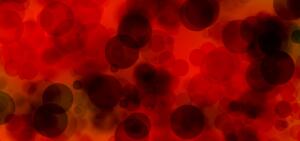 Что вы знаете о человеческой крови?